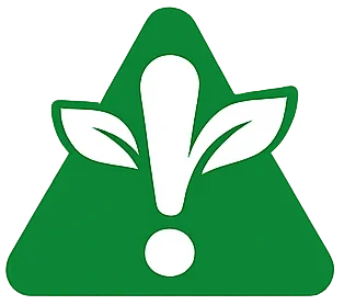 Visión